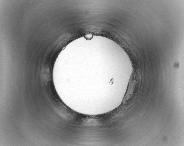 X0000093600224200711121156