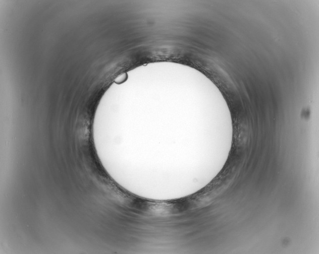 X0000093600226200711121156