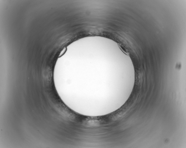 X0000093600228200711121156