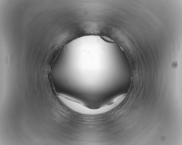 X0000093600229200711121156