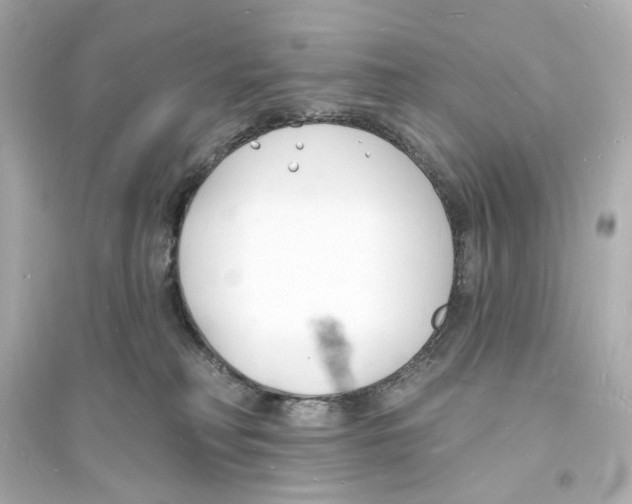 X0000093600230200711121156