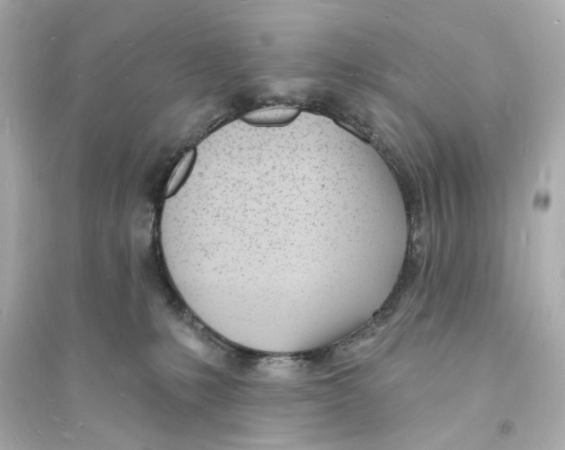 X0000093600231200711121156