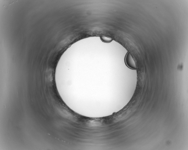 X0000093600232200711121156