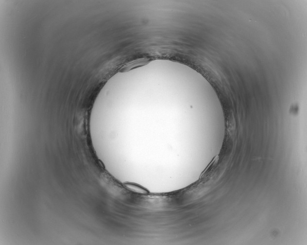 X0000093600233200711121156