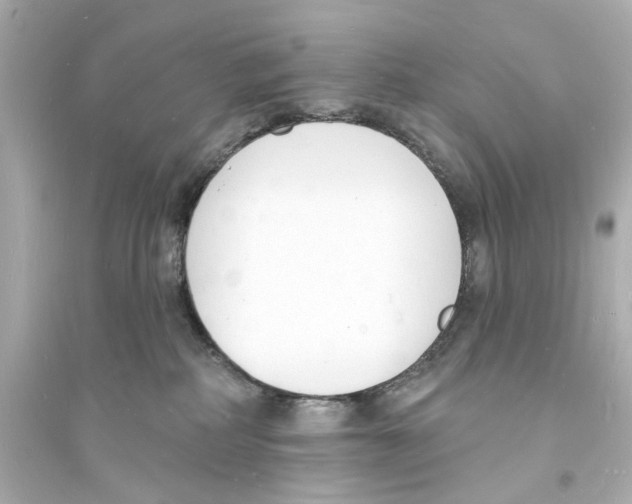 X0000093600234200711121156