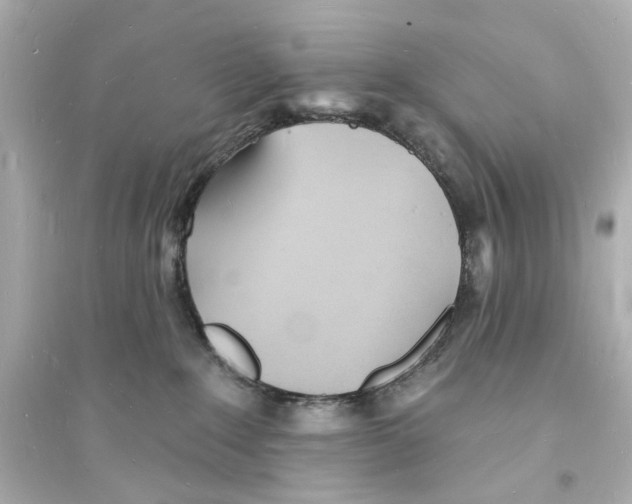 X0000093600235200711121156