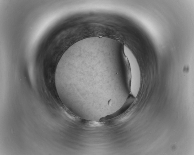 X0000093600239200711121156