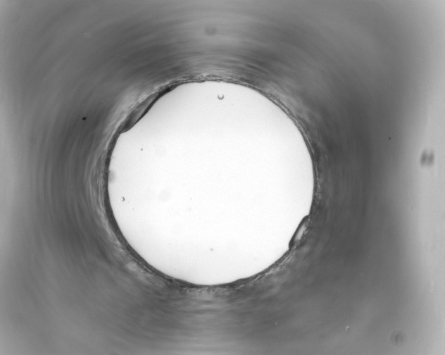 X0000093600241200711121155