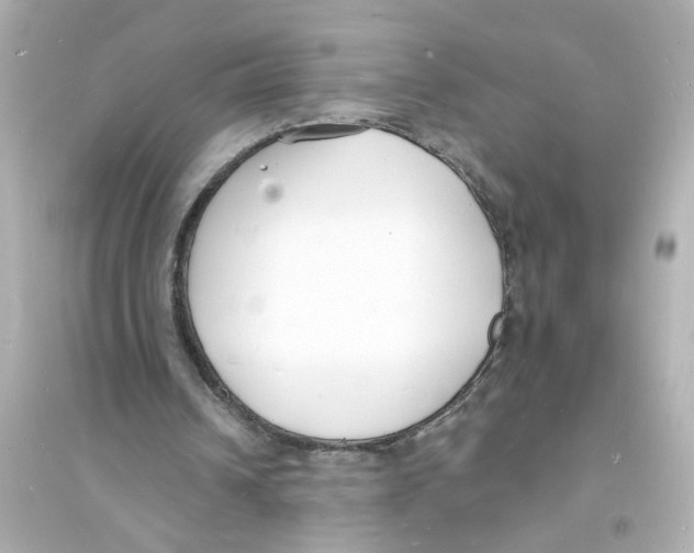 X0000093600242200711121155