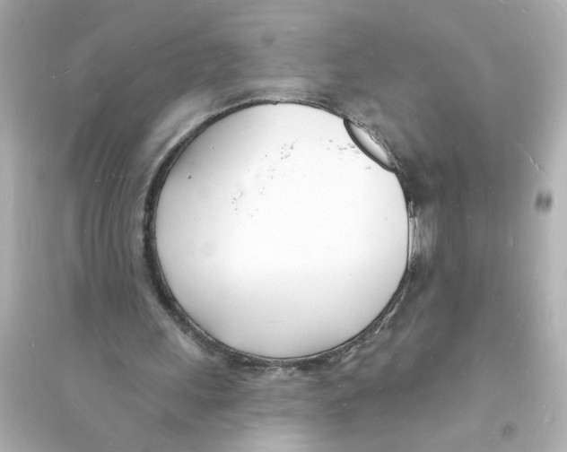 X0000093600243200711121155