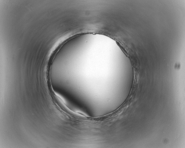 X0000093600244200711121155