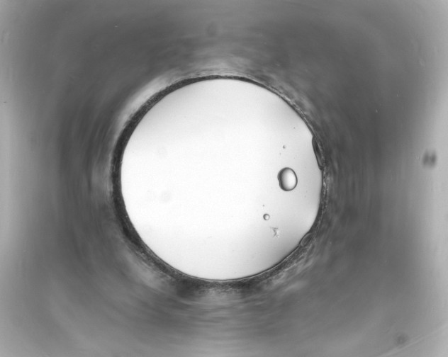 X0000093600248200711121155