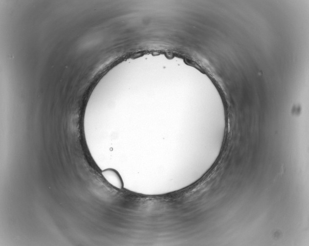 X0000093600249200711121155