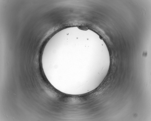 X0000093600250200711121155