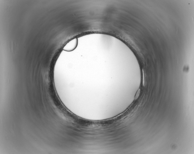 X0000093600252200711121155