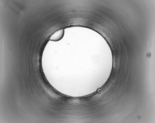 X0000093600253200711121155