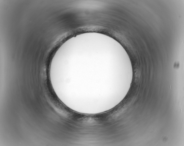 X0000093600254200711121155