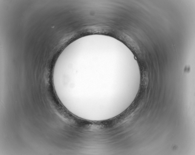 X0000093600255200711121155