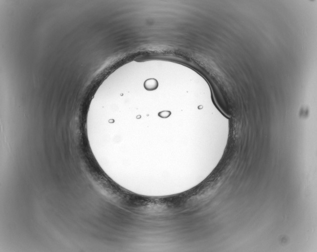 X0000093600256200711121155