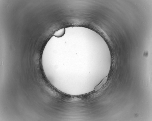 X0000093600257200711121155