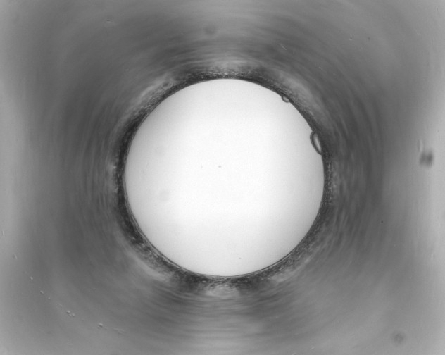 X0000093600258200711121155