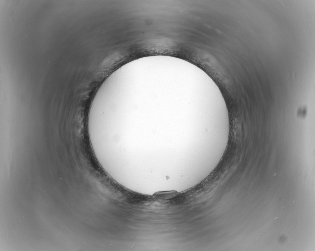 X0000093600259200711121155