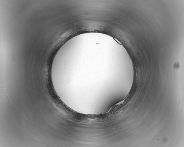 X0000093600260200711121155