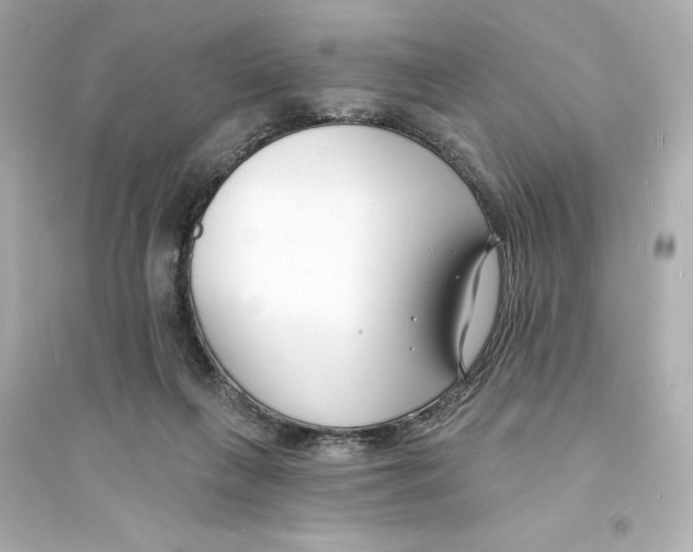 X0000093600263200711121155