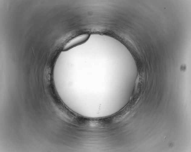 X0000093600264200711121155