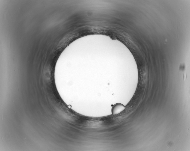 X0000093600266200711121155