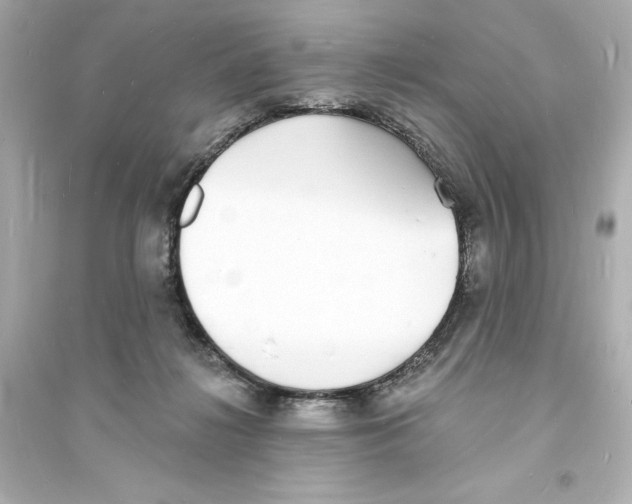 X0000093600268200711121155