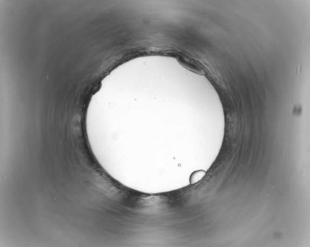 X0000093600269200711121155