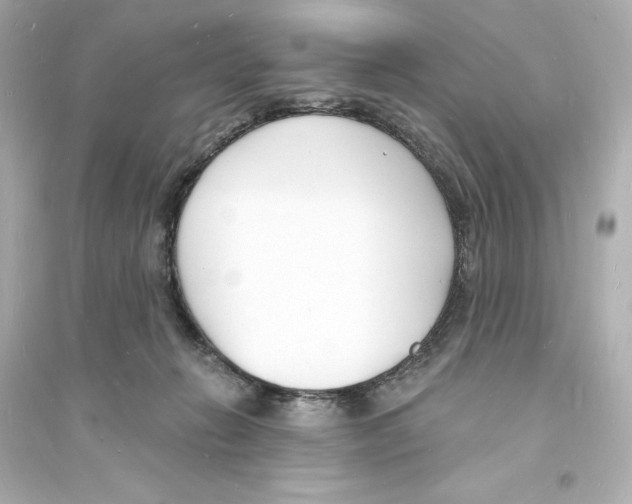 X0000093600270200711121155