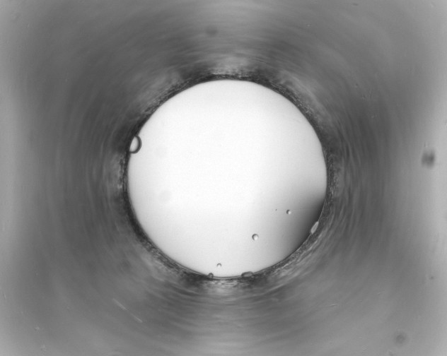 X0000093600273200711121155