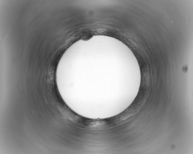 X0000093600274200711121155