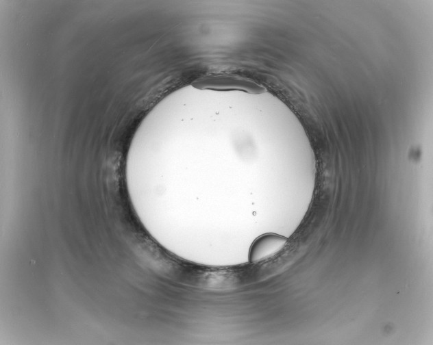 X0000093600275200711121155