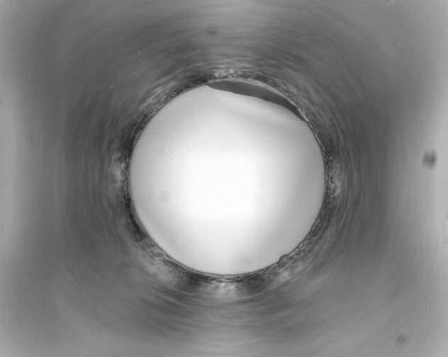 X0000093600276200711121155