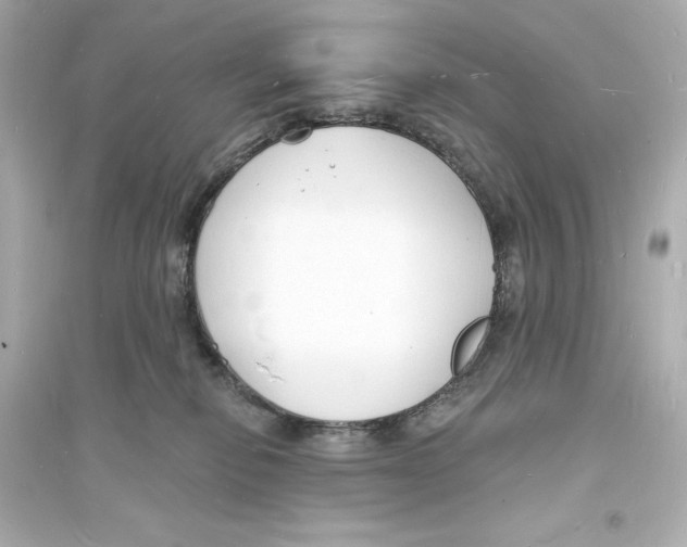 X0000093600278200711121156