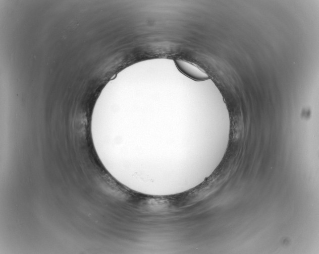 X0000093600279200711121156