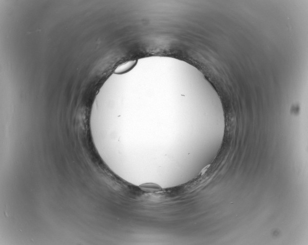 X0000093600280200711121156