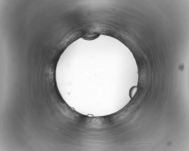 X0000093600282200711121156