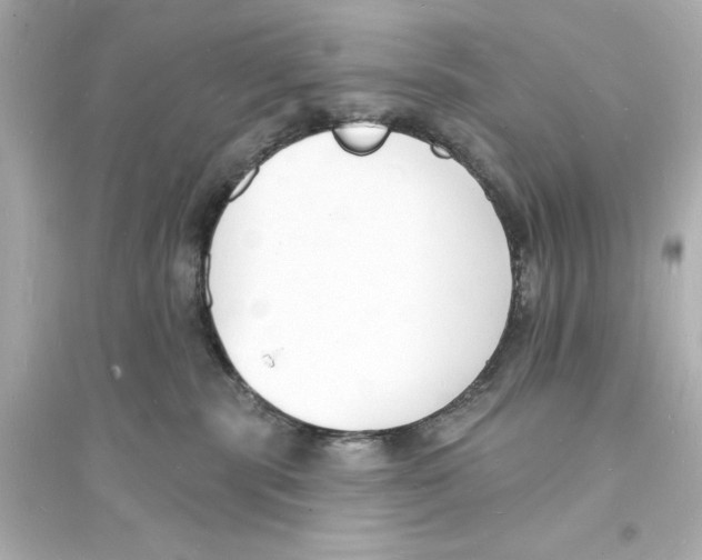 X0000093600283200711121156