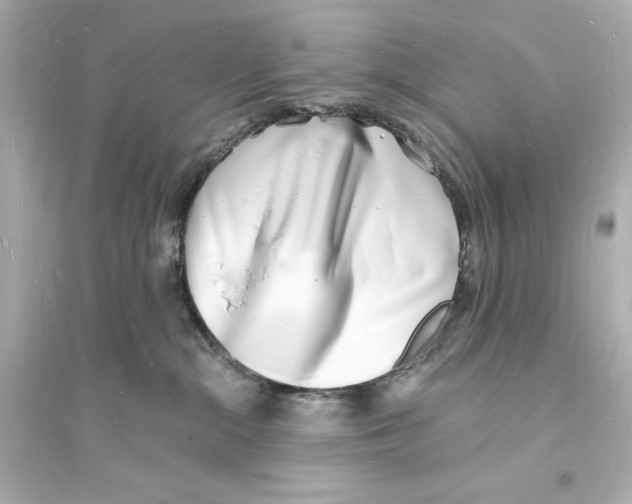 X0000093600284200711121156