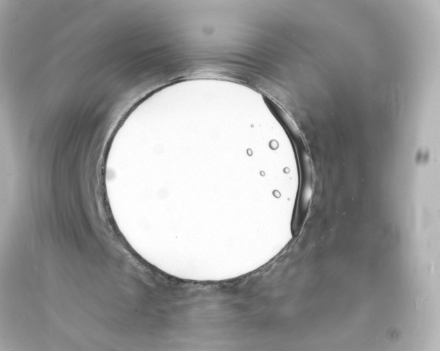 X0000093600289200711121155