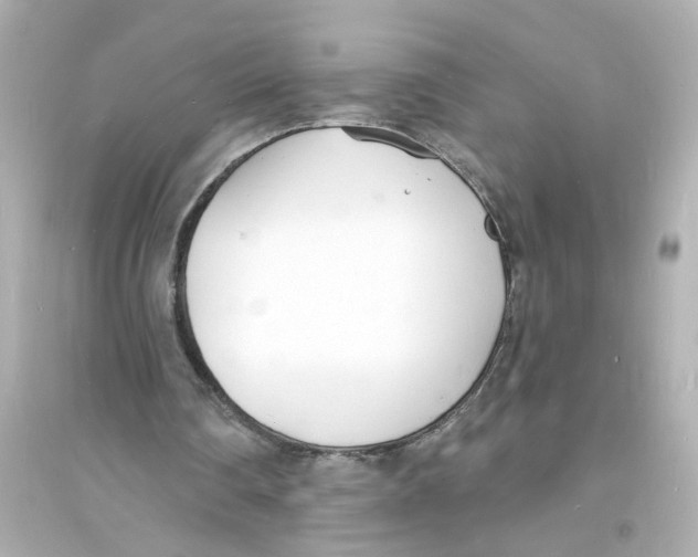 X0000093600290200711121155