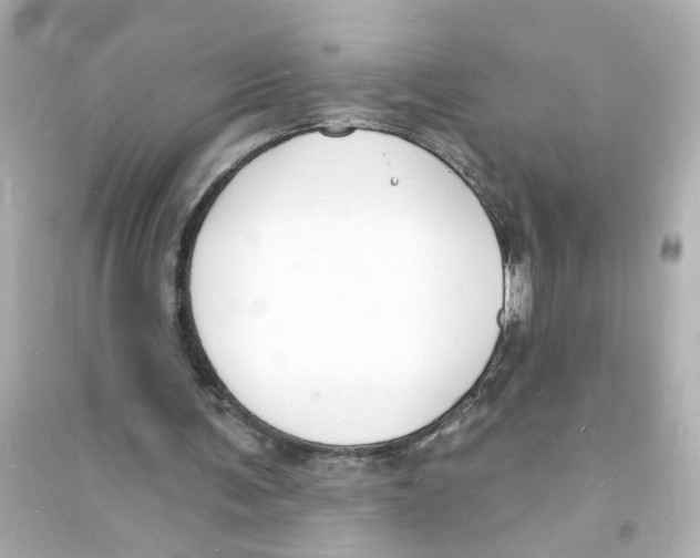 X0000093600291200711121155