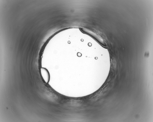 X0000093600292200711121155