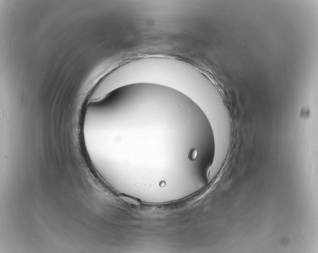 X0000093600293200711121155