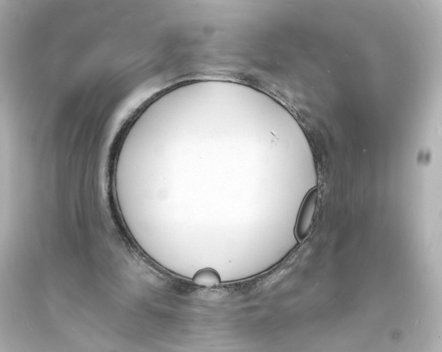 X0000093600294200711121155