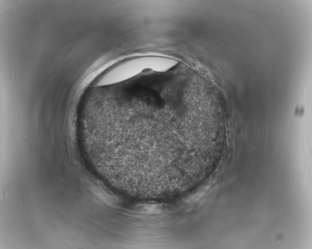 X0000093600295200711121155